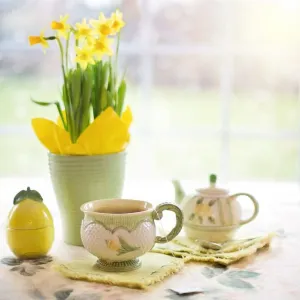 Narciso