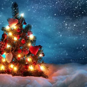 Natal