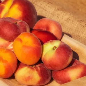 Nectarina
