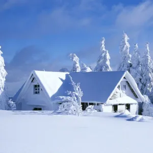 Neve