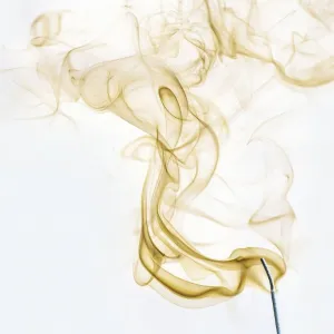 Odor