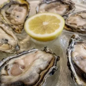 Ostra