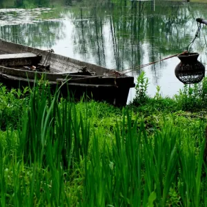 Pantanal