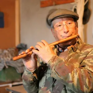 Pífaro