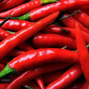 Pimenta