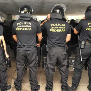 Policial