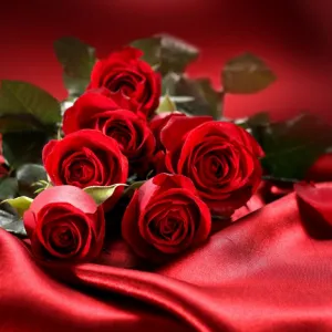 Rosas vermelhas