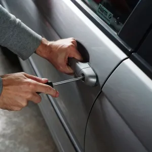 Roubo de Carro