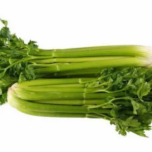 Salsão