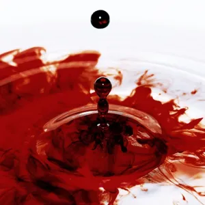 Sangue