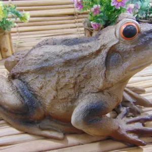 Sapo grande