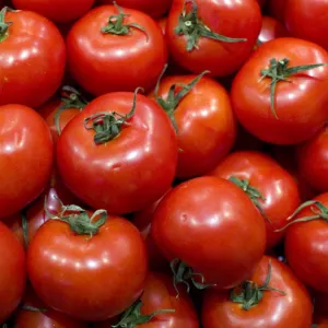 Tomate