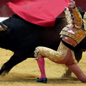 Tourada