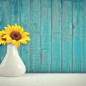 Vaso