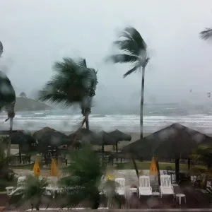 Vendaval
