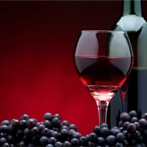 Vinho