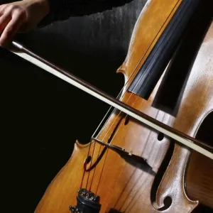 Violoncelo