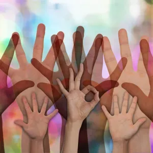 Voluntário