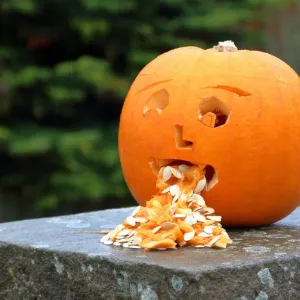 Vomitar