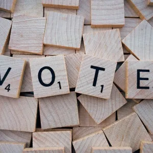 Votar