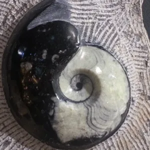 Yang